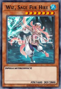 Wiz, Sage Fur Hire, Yu-Gi-Oh! card, WATER