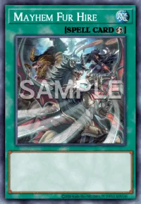 Mayhem Fur Hire, Yu-Gi-Oh! card, SPELL