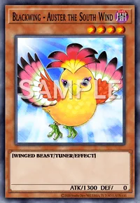 Blackwing - Auster the South Wind, Yu-Gi-Oh! card, DARK