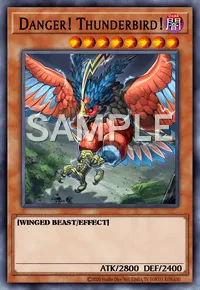 Danger! Thunderbird!, Yu-Gi-Oh! card, DARK