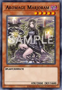 Aromage Marjoram, Yu-Gi-Oh! card, DARK