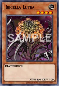 Ibicella Lutea, Yu-Gi-Oh! card, EARTH
