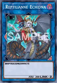 Reptilianne Echidna, Yu-Gi-Oh! card, DARK