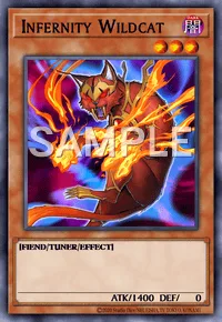 Infernity Wildcat, Yu-Gi-Oh! card, DARK
