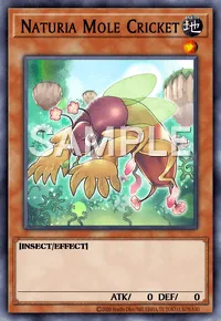 Naturia Mole Cricket, Yu-Gi-Oh! card, EARTH
