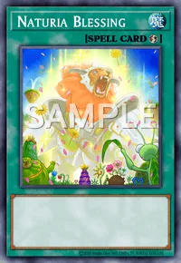 Naturia Blessing, Yu-Gi-Oh! card, SPELL