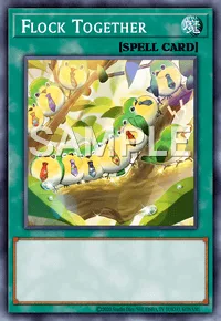 Flock Together, Yu-Gi-Oh! card, SPELL
