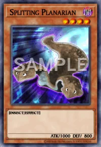 Splitting Planarian, Yu-Gi-Oh! card, DARK