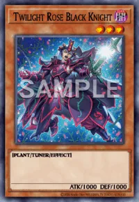 Twilight Rose Black Knight, Yu-Gi-Oh! card, DARK