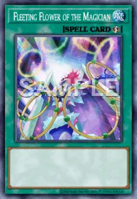 Fleeting Flower of the Magician, Yu-Gi-Oh! card, SPELL