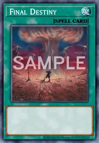 Final Destiny, Yu-Gi-Oh! card, SPELL