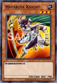 Hayabusa Knight, Yu-Gi-Oh! card, EARTH
