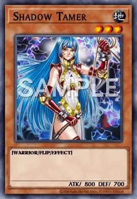 Shadow Tamer, Yu-Gi-Oh! card, EARTH