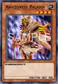 Amazoness Paladin, Yu-Gi-Oh! card, EARTH