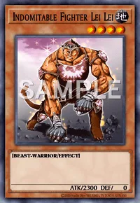 Indomitable Fighter Lei Lei, Yu-Gi-Oh! card, EARTH