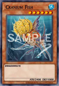Cranium Fish, Yu-Gi-Oh! card, WATER