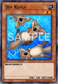 Sea Koala, Yu-Gi-Oh! card, EARTH