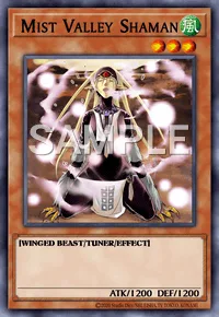 Mist Valley Shaman, Yu-Gi-Oh! card, WIND