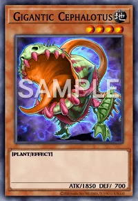 Gigantic Cephalotus, Yu-Gi-Oh! card, EARTH