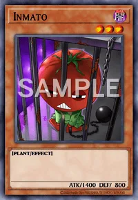 Inmato, Yu-Gi-Oh! card, DARK