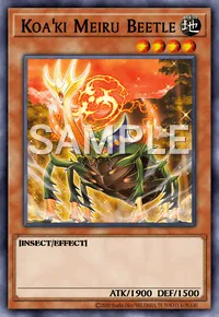 Koa'ki Meiru Beetle, Yu-Gi-Oh! card, EARTH