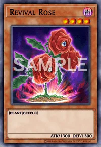 Revival Rose, Yu-Gi-Oh! card, DARK