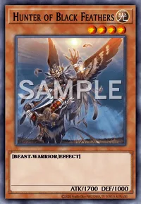 Hunter of Black Feathers, Yu-Gi-Oh! card, LIGHT