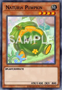Naturia Pumpkin, Yu-Gi-Oh! card, EARTH