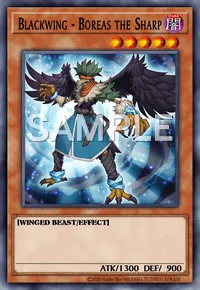 Blackwing - Boreas the Sharp, Yu-Gi-Oh! card, DARK