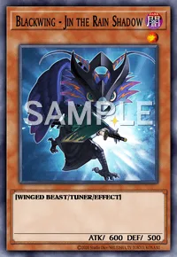 Blackwing - Jin the Rain Shadow, Yu-Gi-Oh! card, DARK
