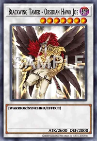 Blackwing Tamer - Obsidian Hawk Joe, Yu-Gi-Oh! card, DARK