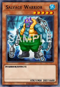 Salvage Warrior, Yu-Gi-Oh! card, WATER